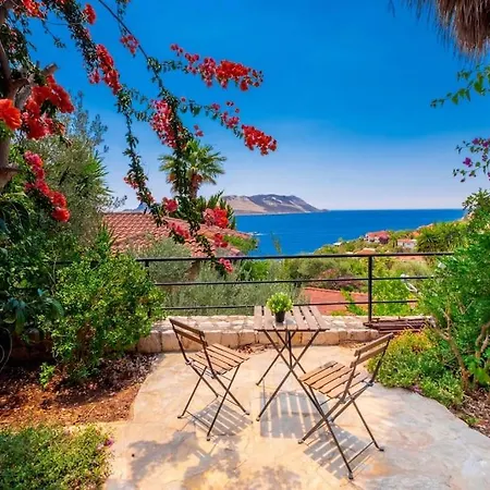 Jasmine Peninsula * كاس